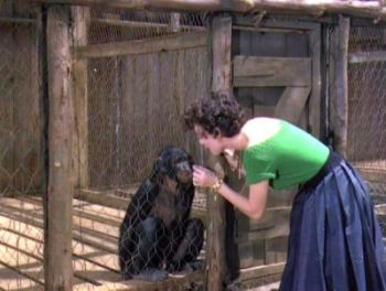 get away from that chimp and stop feeding him bubblegum